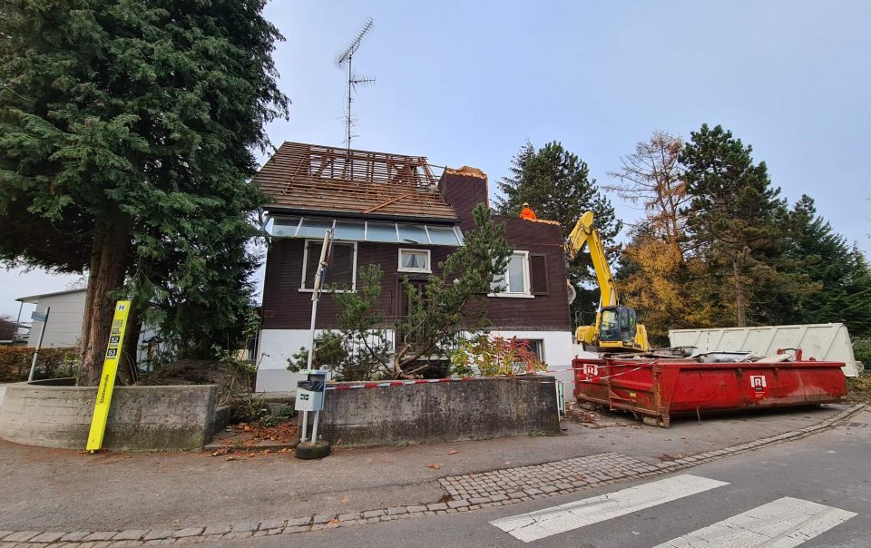 planschmiede mwh gruenen baum 4